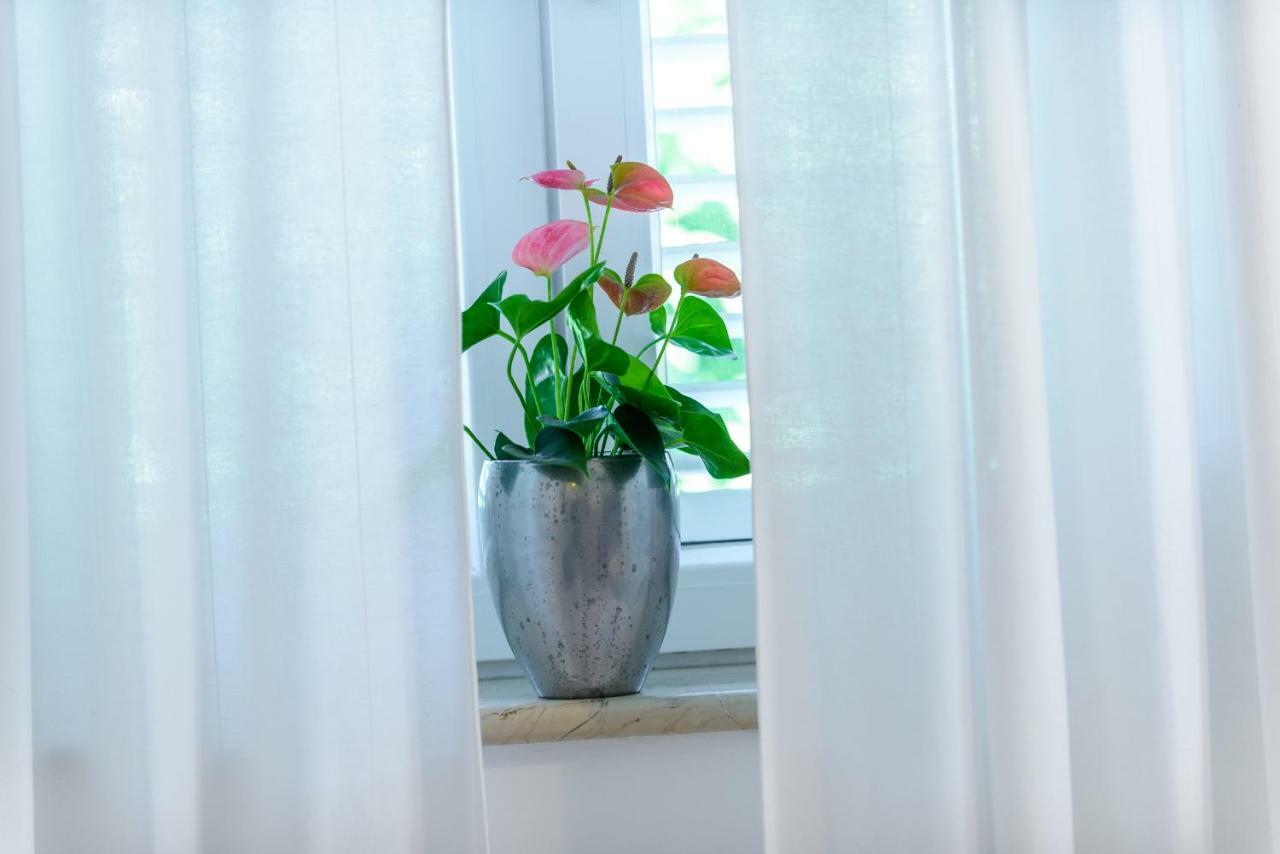 Apartment Antonella دوبروفينك المظهر الخارجي الصورة
