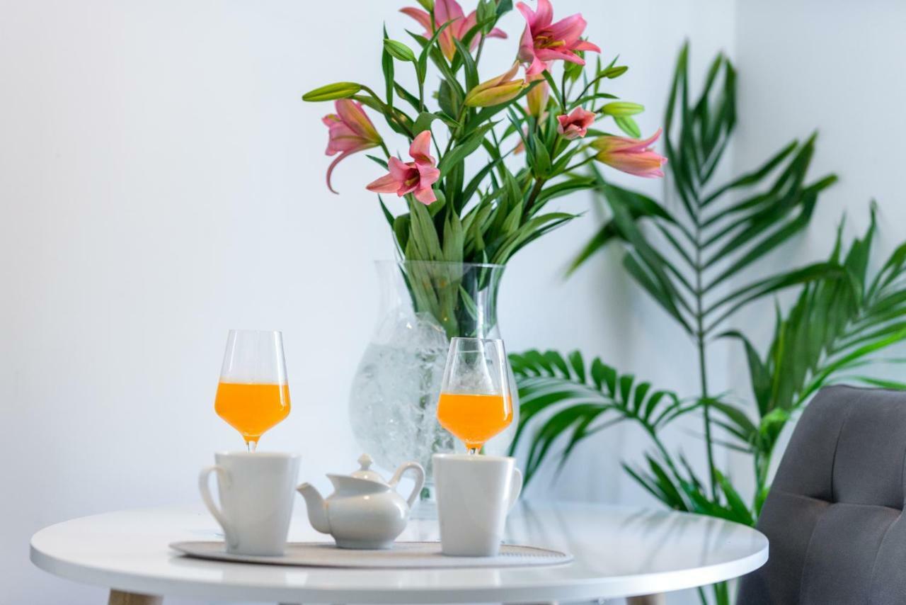 Apartment Antonella دوبروفينك المظهر الخارجي الصورة